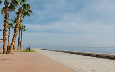Sea Vista