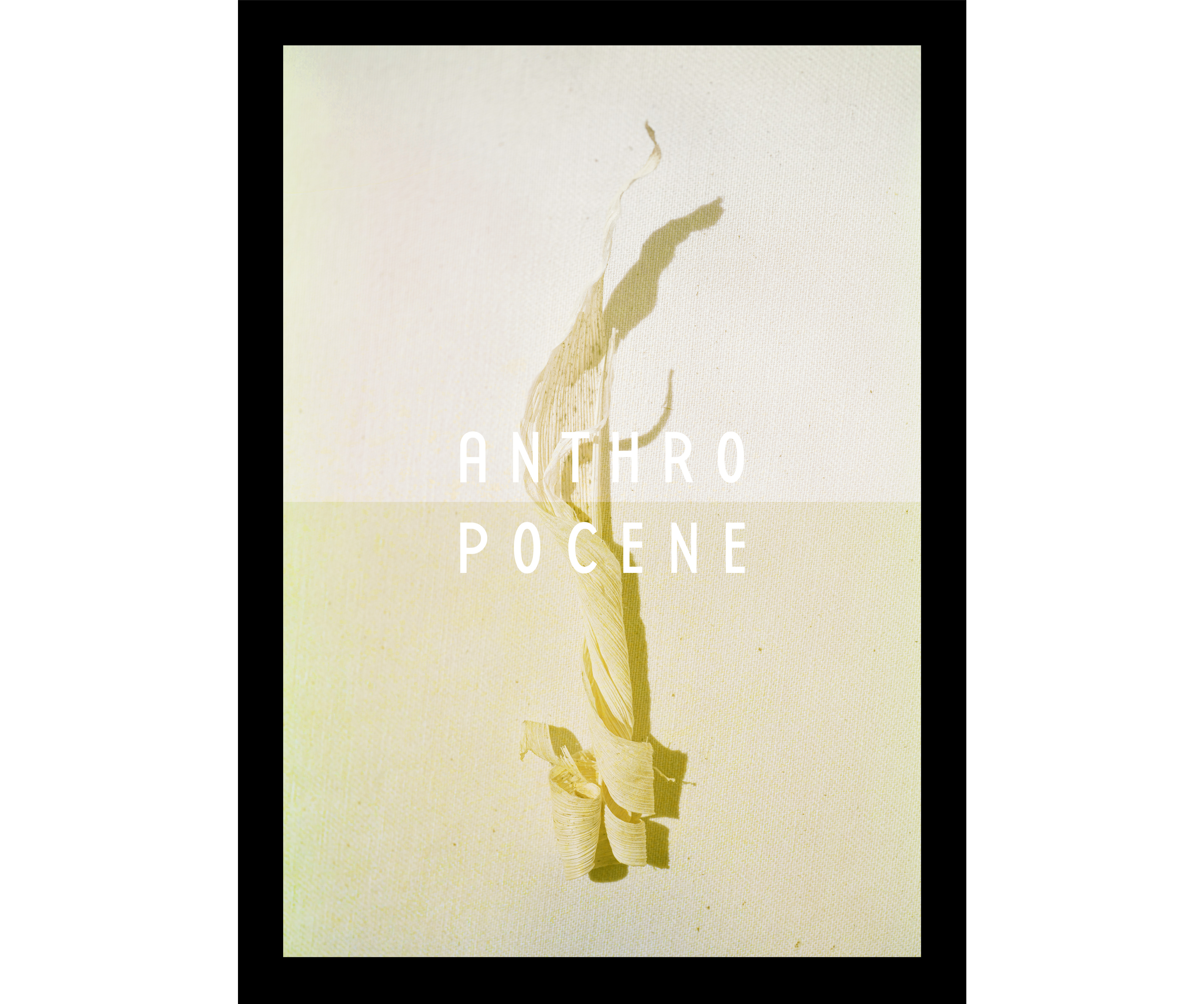 Anthropocene Cover
