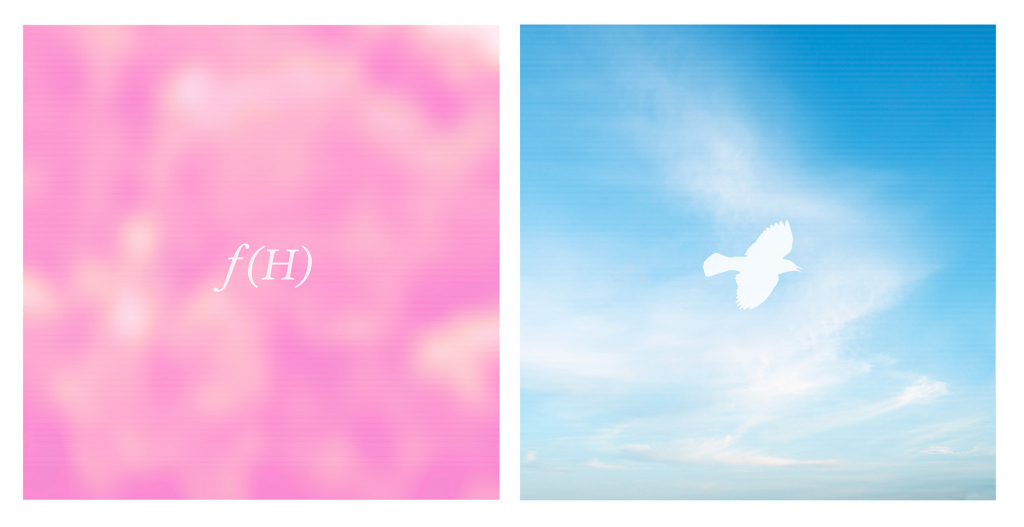 Fine art diptych addressing the Anthropocene, featuring a pink abstract background with the equation f(H) alongside a bird silhouette representing declining bird populations