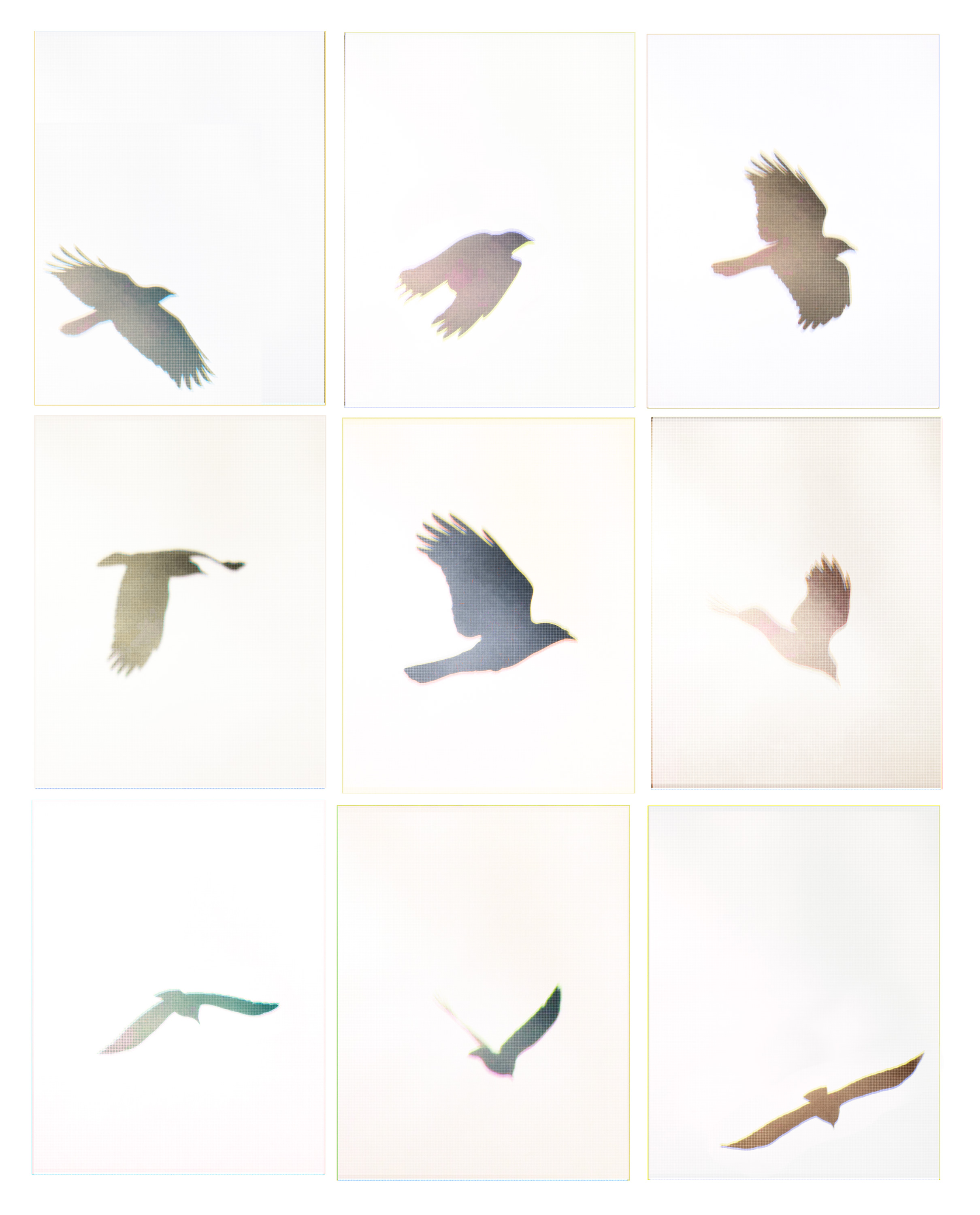 The Great Acceleration (crow grid)