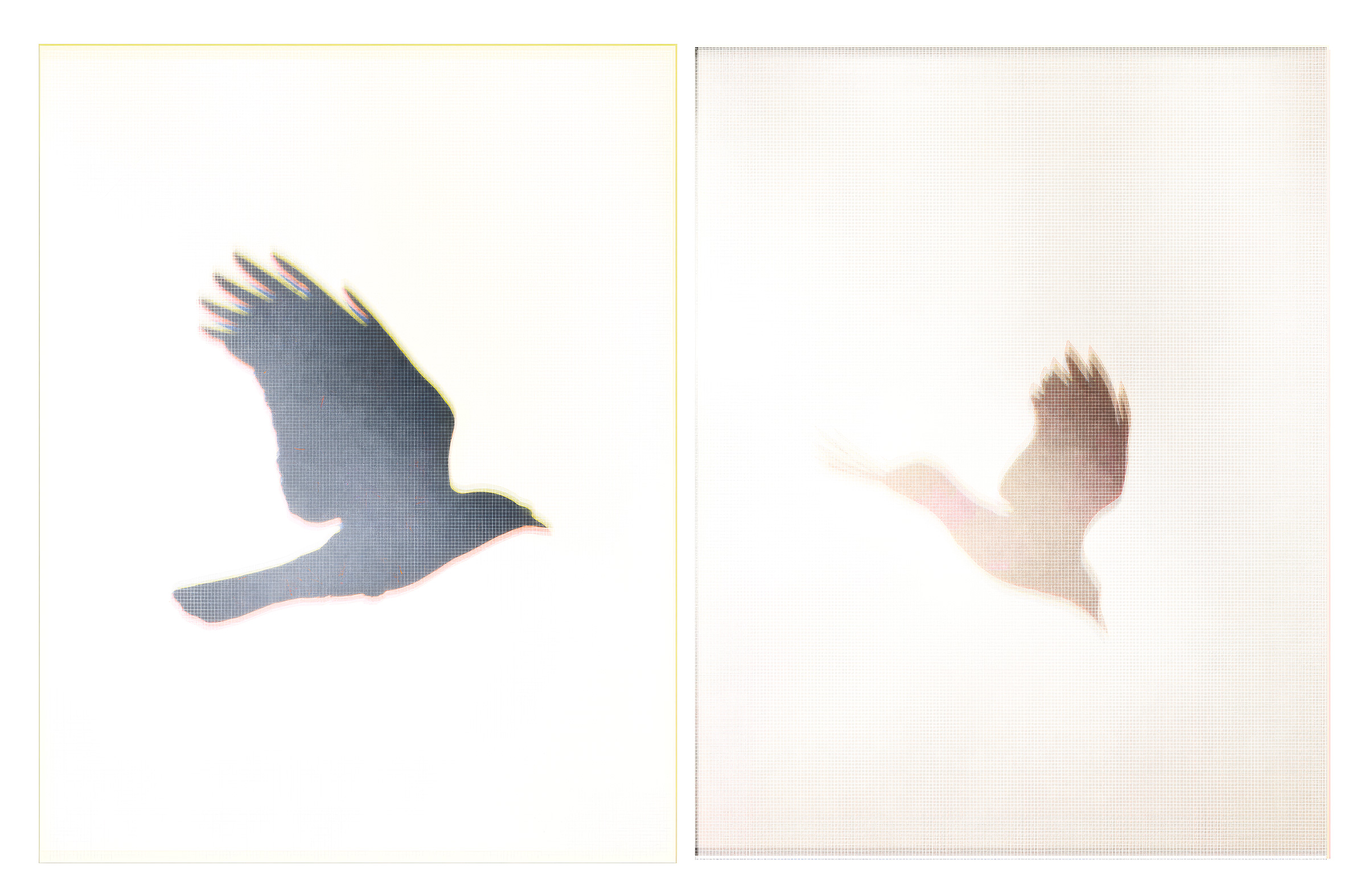 The Great Acceleration