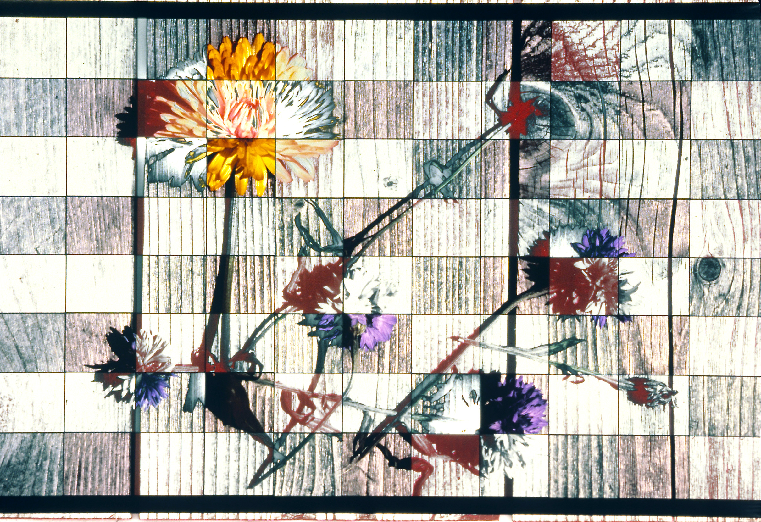 Pleasure in the Moment