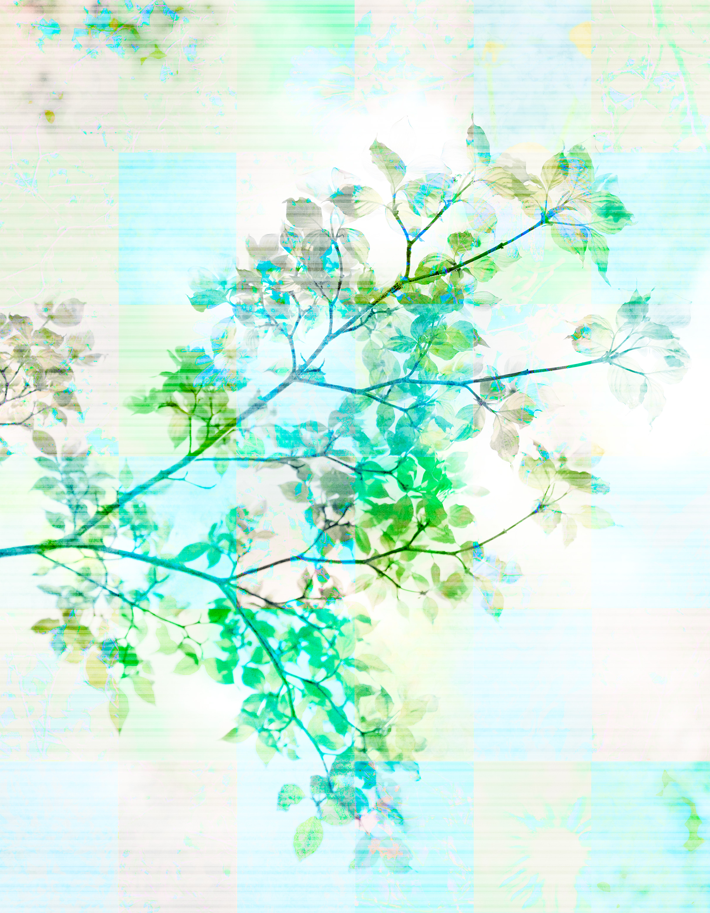 Flowering Tree II