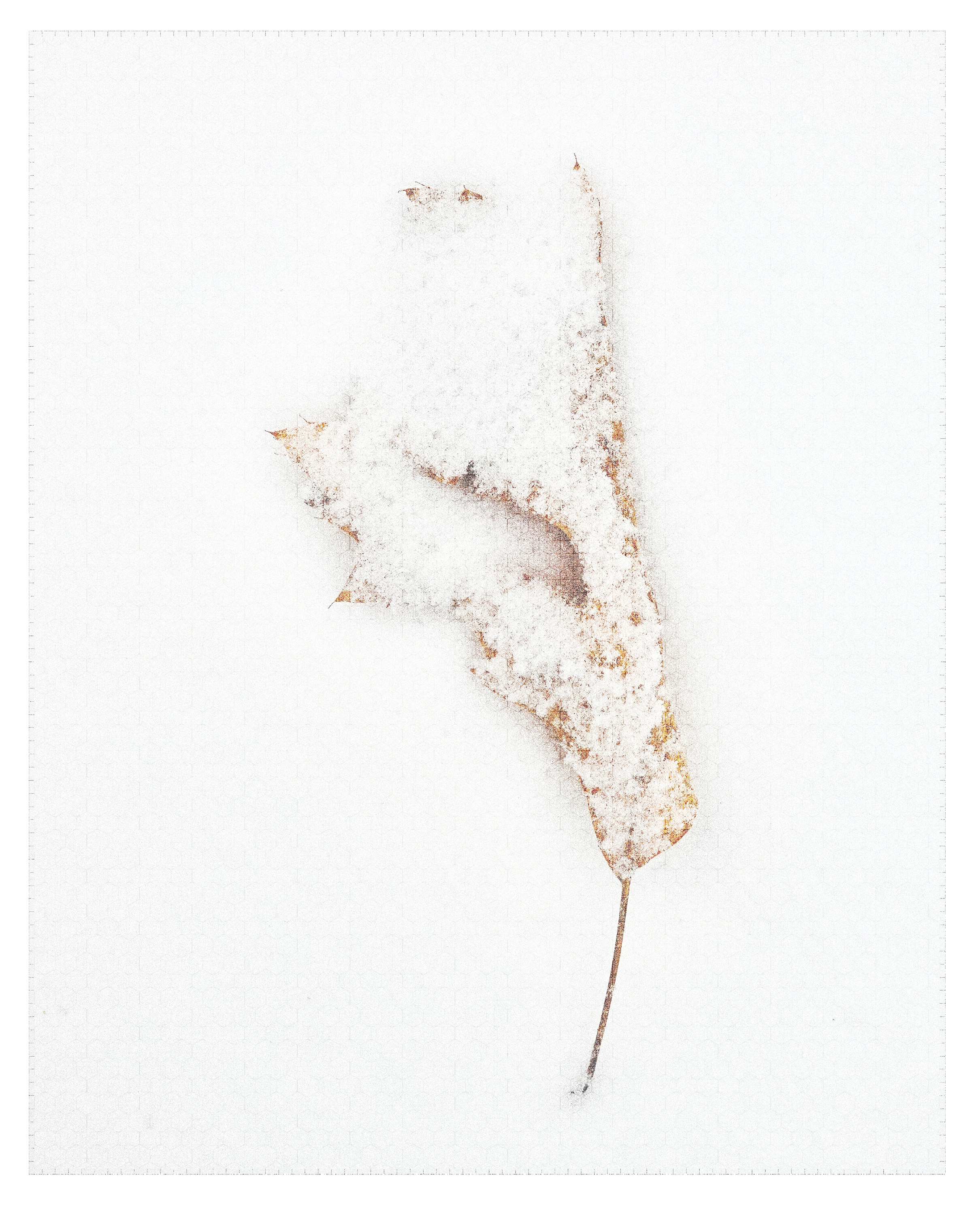 Folded Leaf