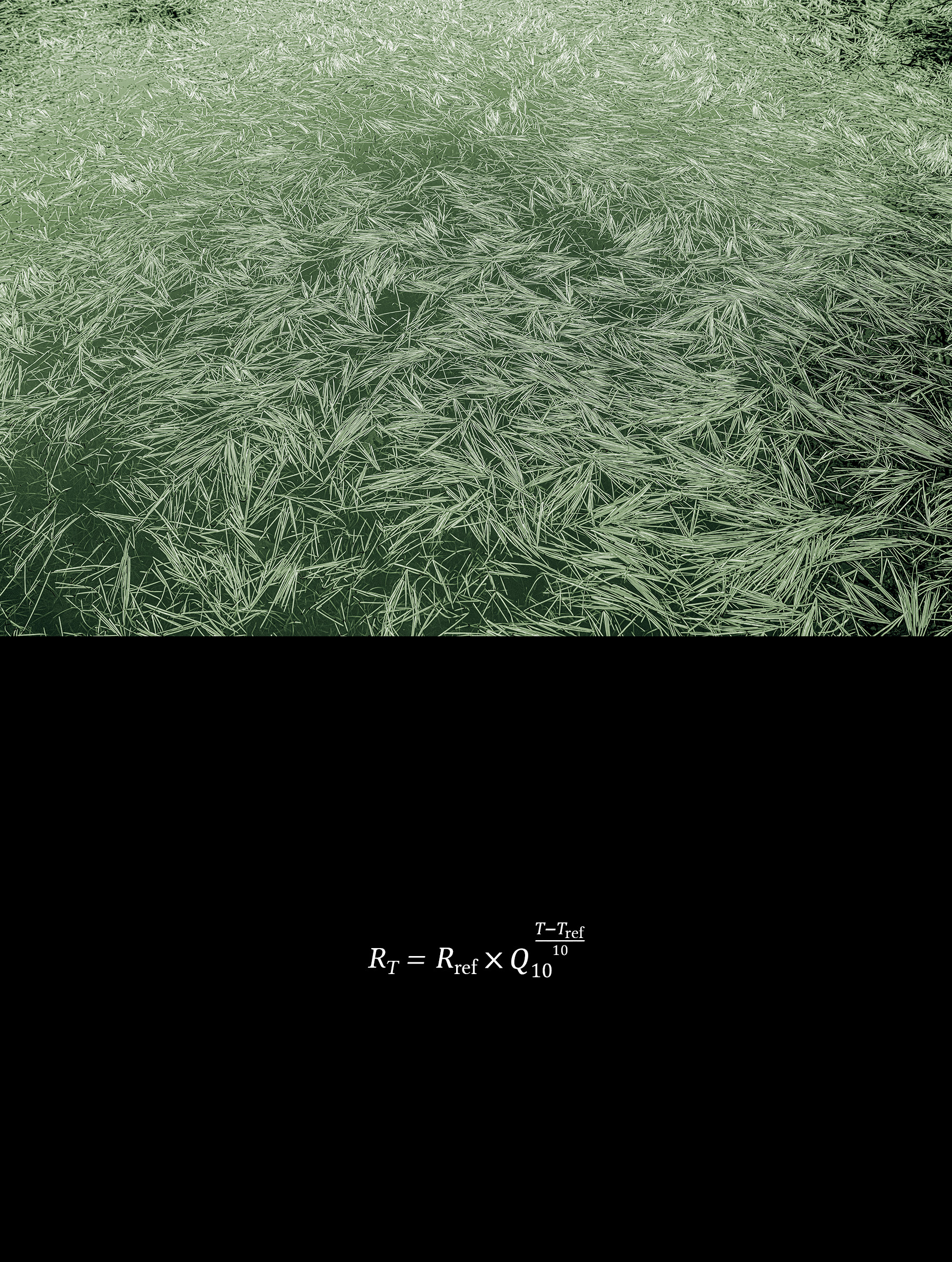 Fine art photograph of floating manna grass on a vernal pool in Concord, Massachusetts, paired below with the Q10 temperature coefficient equation for climate tipping points.