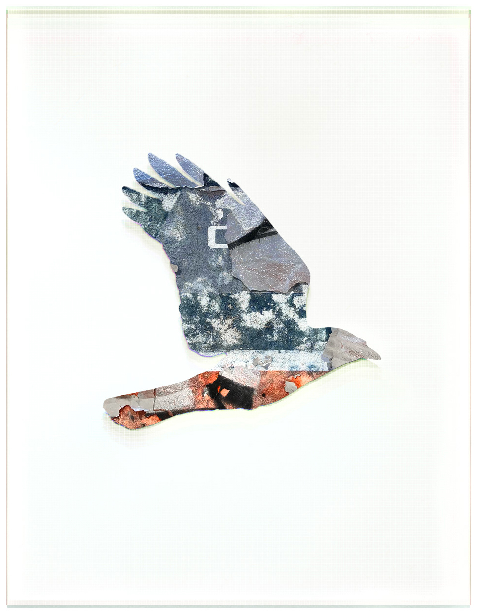 Crow Collage