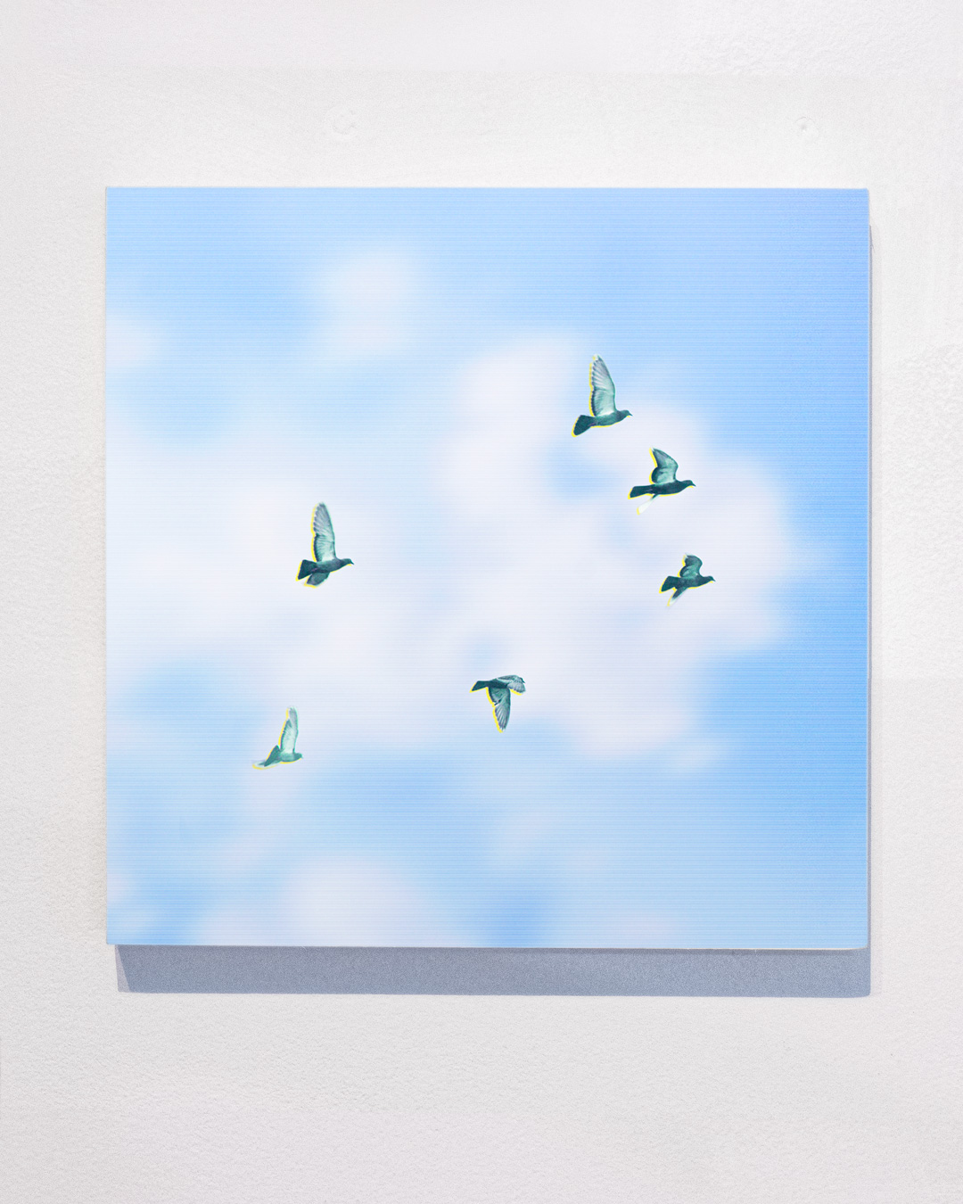 Pigeons flying with clouds and graphics inspired by the Anthropocene.