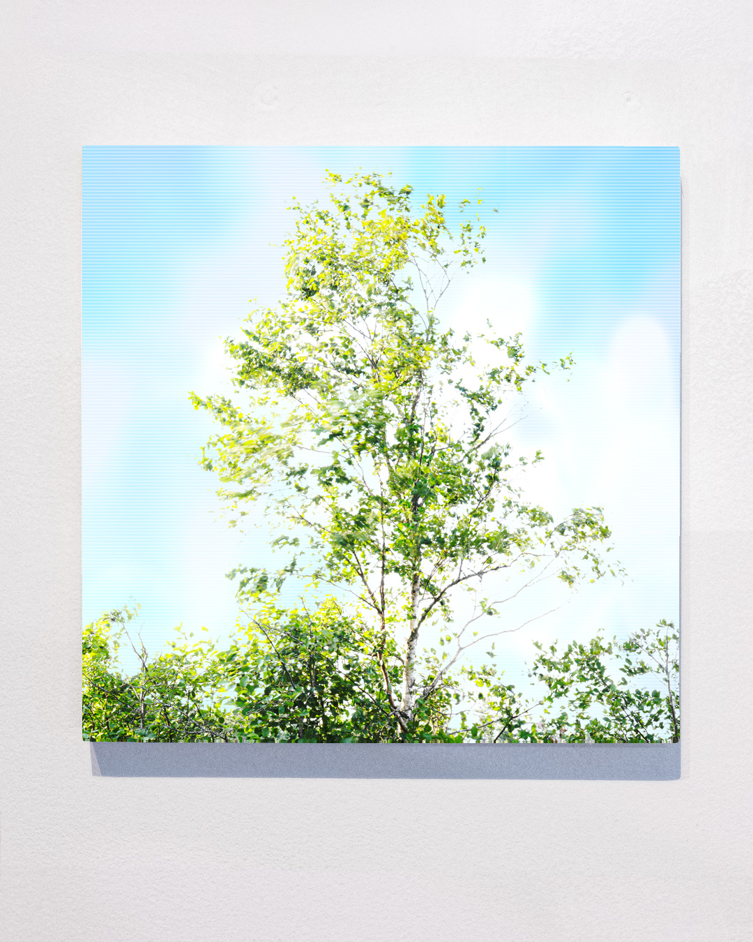 Paper birch tree and graphics inspired by the Anthropocene illustrating climate change