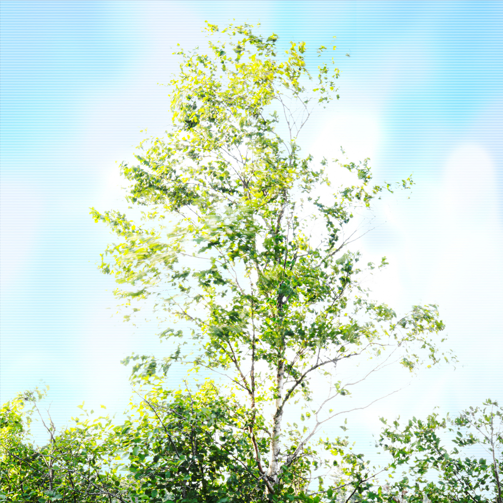 Paper birch tree and graphics inspired by the Anthropocene illustrating climate change
