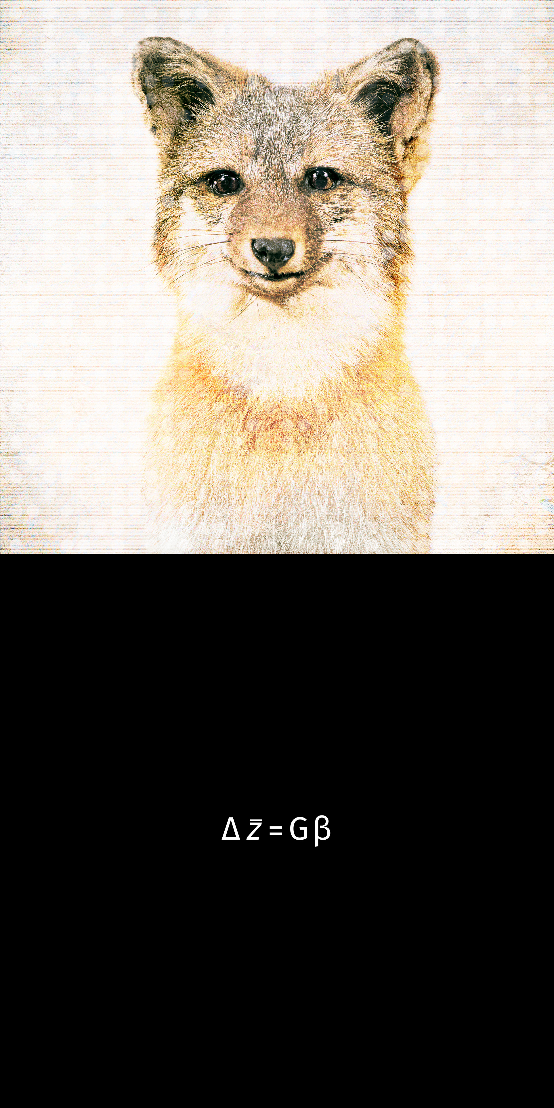 Fine art wildlife portrait of a gray fox above the Lande-Arnold Equation modeling a species' capacity to adapt, titled Gray Fox Equation by Harry Bartlett