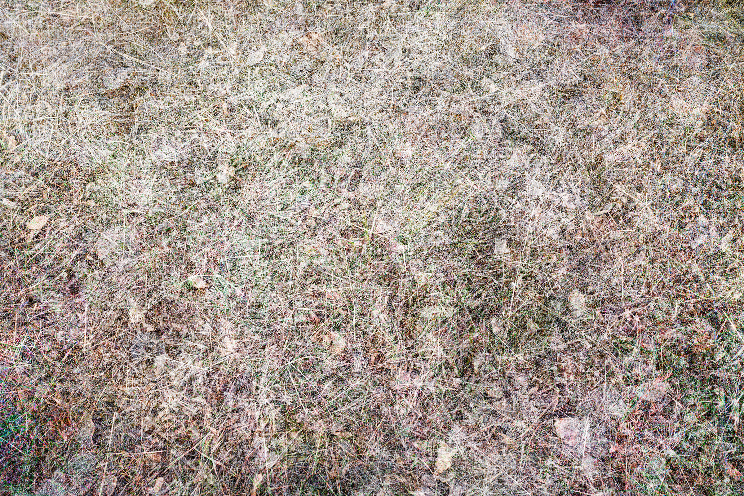 Lower Field 3