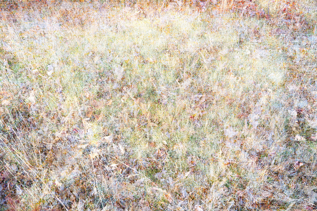 Fine art assemblage of multiple photographs and ATCG lettering references changes in how plant genes express themselves in response to human impact, titled Upper Field by Harry Bartlett.